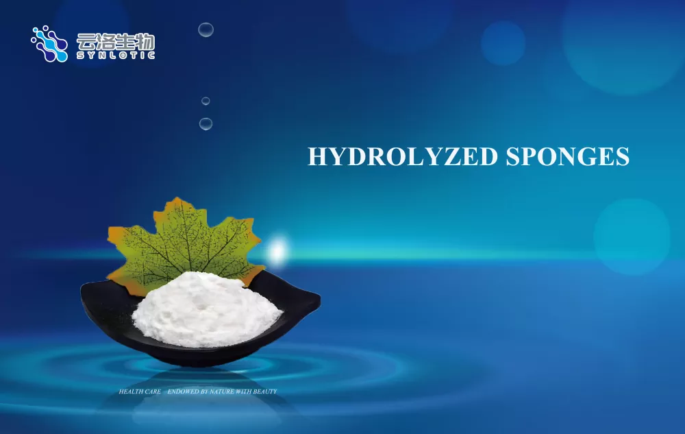 Hydrolyzed Sponges: Τεχνολογία ενυδάτωσης και ελαστικής περιποίησης δέρματος από τη βαθιά θάλασσα