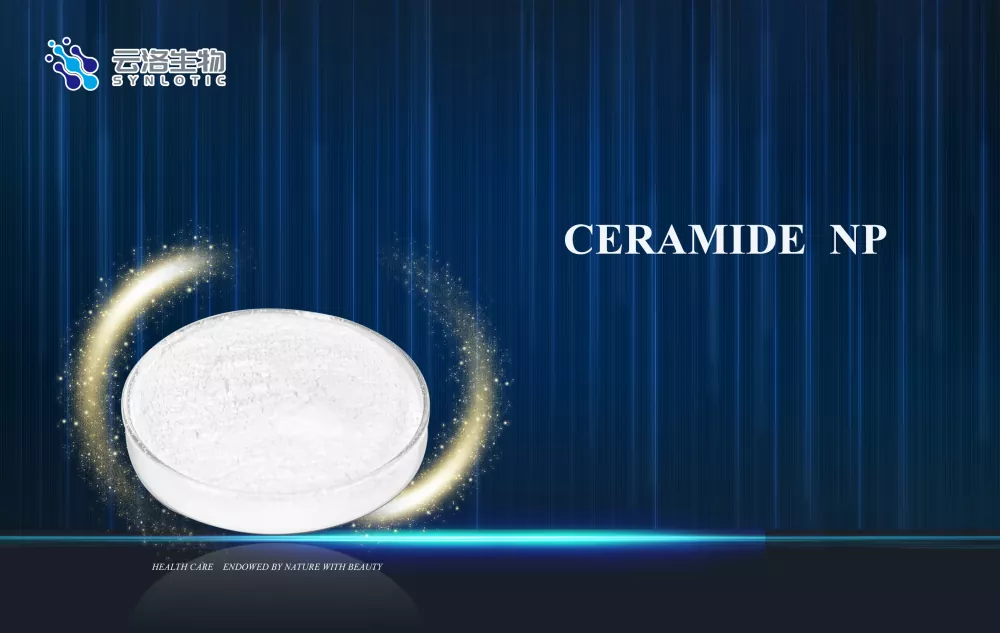 Πώς υποστηρίζει το Ceramide NP τη φροντίδα του φραγμού του δέρματος στα σύγχρονα καλλυντικά;
